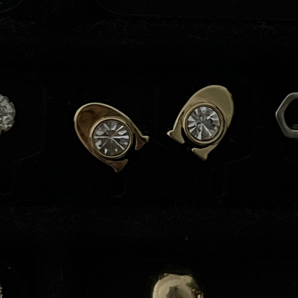 Coach Earrings